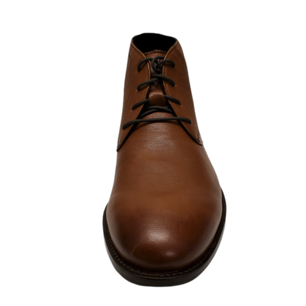 cole haan holland chukka